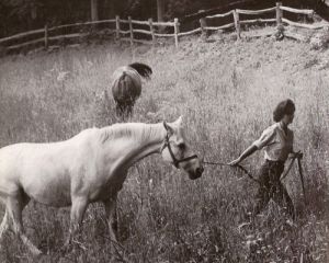 jackie bouvier kennedy onassis in the fields with horses.jpg